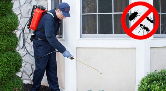 Kiğı Tahtakurusu İlaçlama böcek ilaçlama ve haşere kontrolü — ilaclama-tr.com